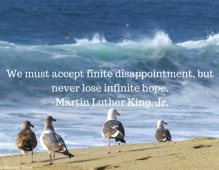 Seagulls by the ocean, MLK Jr. quote about hope
